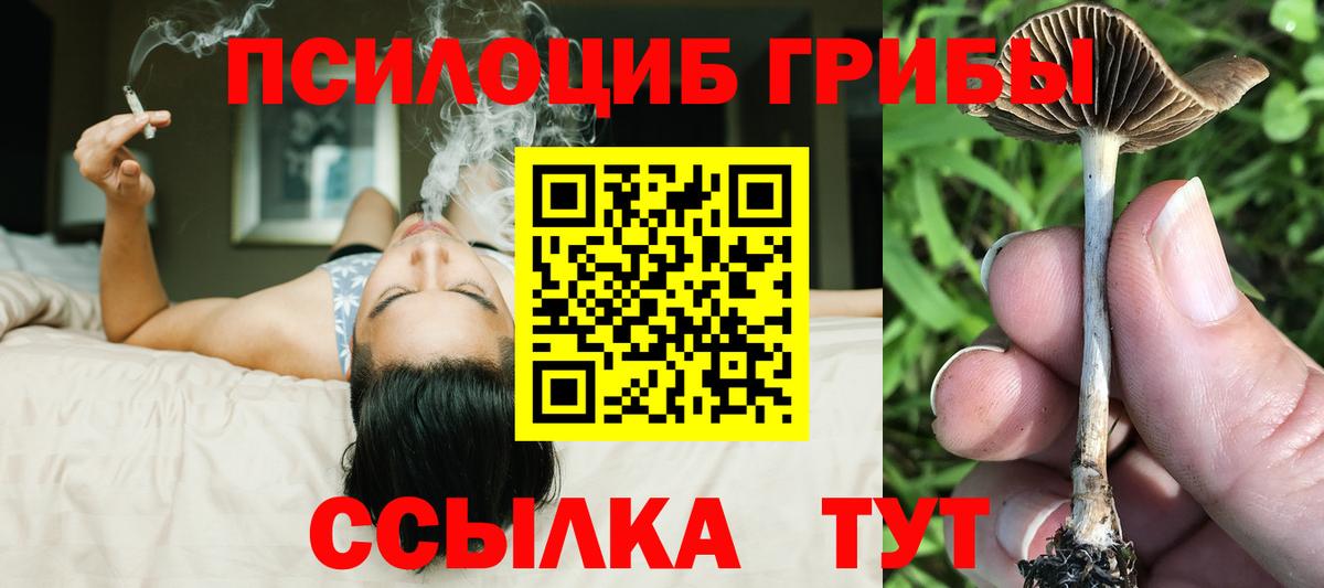 Тайшет  Псилоцибиновые грибы MAGIC MUSHROOMS  Вход с VPN 